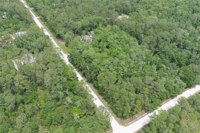 1823 Honeytree St, Bunnell, FL 32110