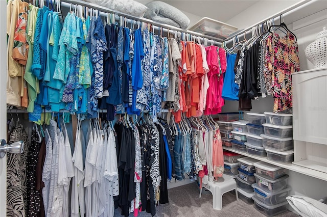 7 Windsor Ter, Palm Coast, FL 32164 - walk in closet featuring carpet flooring