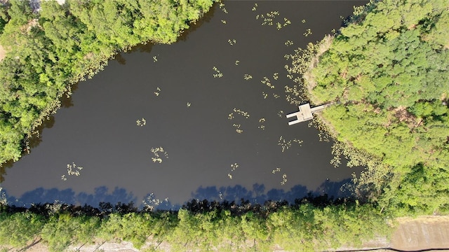 7 Windsor Ter, Palm Coast, FL 32164 - aerial view with a forest view