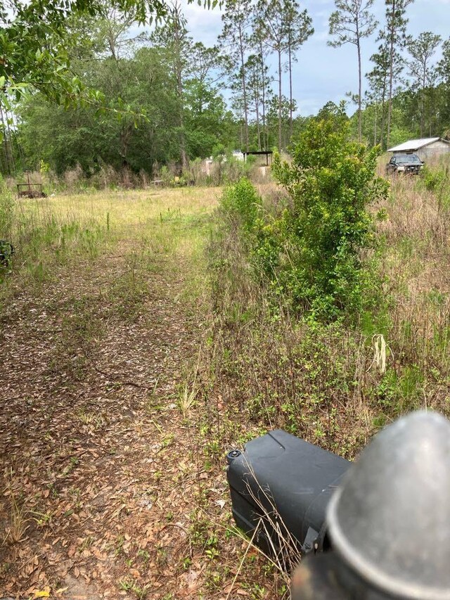 10775 Amos Ave, Hastings, FL 32145