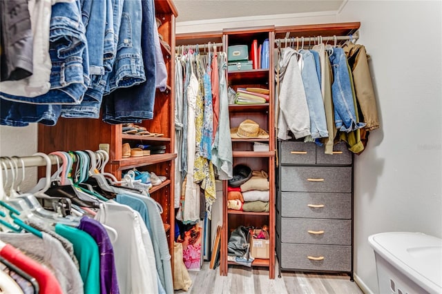 11 Larisa Ter, Ormond Beach, FL 32174 - walk in closet featuring wood finished floors