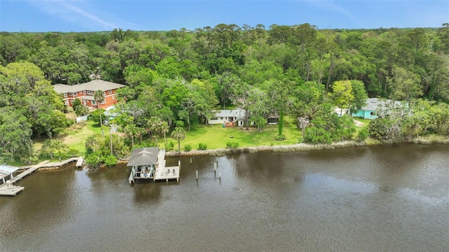aerial view featuring a water view and a wooded view