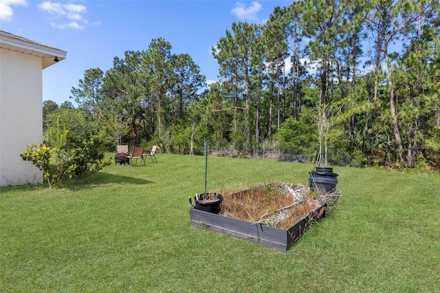 view of yard with a vegetable garden