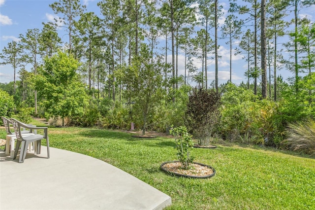 106 Key Grass Ct, Saint Johns, FL 32259 - view of yard featuring a patio