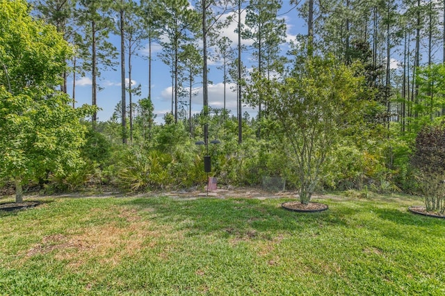 106 Key Grass Ct, Saint Johns, FL 32259 - view of yard