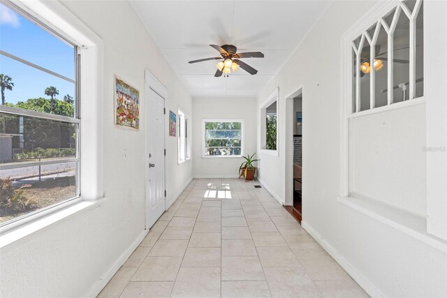 509 Park Dr, Daytona Beach, FL 32114 - photo 3