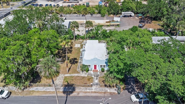509 Park Dr, Daytona Beach, FL 32114 - photo 47