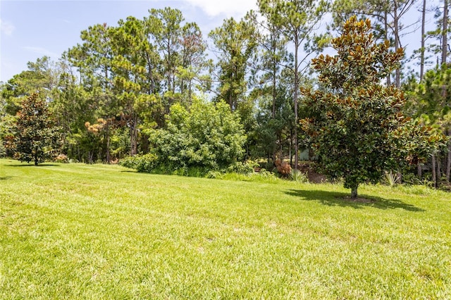 35 Park Place Cir, Palm Coast, FL 32164 - view of yard