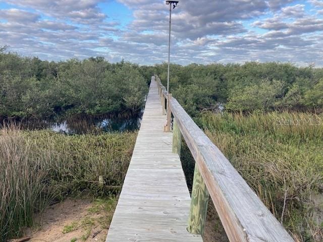 dock area with a view of trees