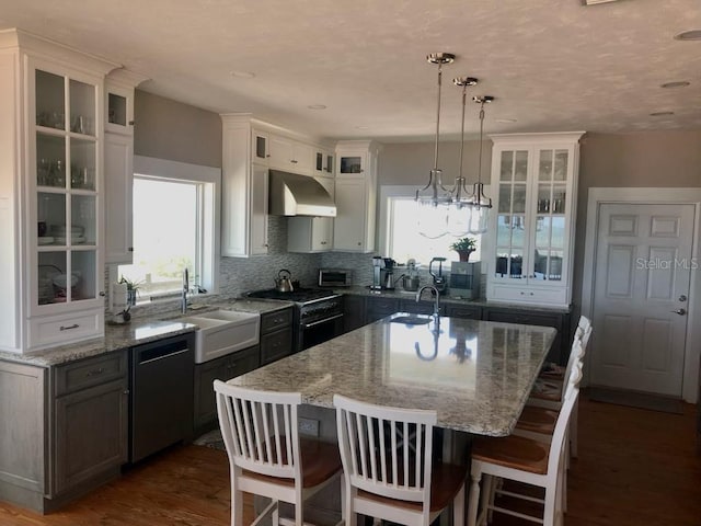 kitchen featuring plenty of natural light, a sink, dishwashing machine, and under cabinet range hood