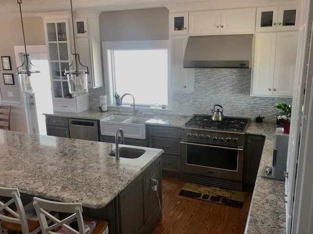 kitchen featuring wall chimney range hood, appliances with stainless steel finishes, decorative backsplash, and a sink