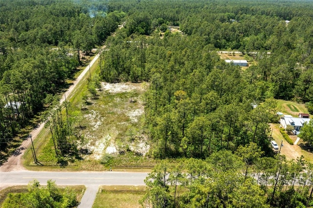 10165 Crotty Ave, Hastings, FL 32145