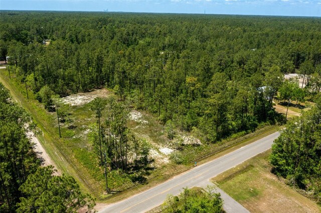 10165 Crotty Ave, Hastings, FL 32145