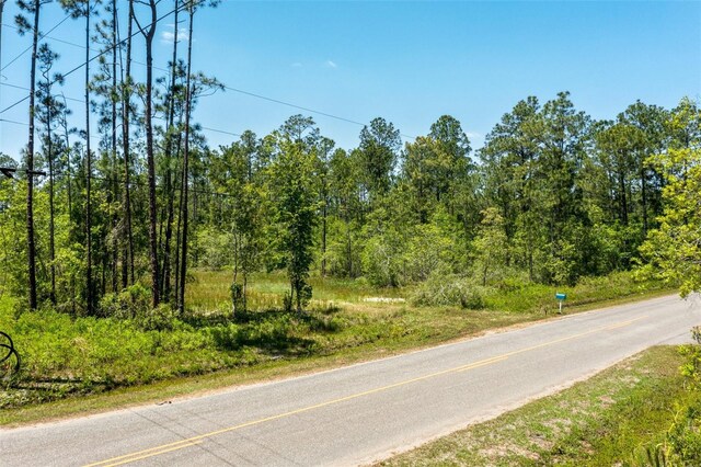 10165 Crotty Ave, Hastings, FL 32145