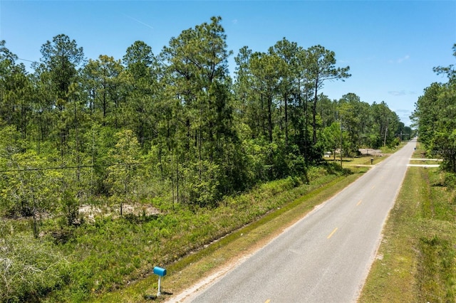 10165 Crotty Ave, Hastings, FL 32145