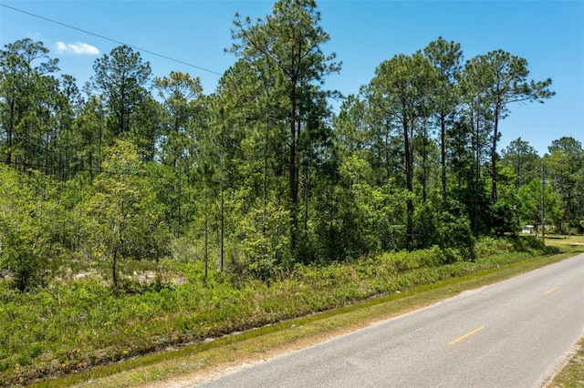10165 Crotty Ave, Hastings, FL 32145