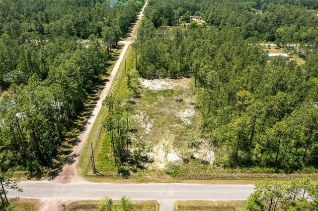 10165 Crotty Ave, Hastings, FL 32145