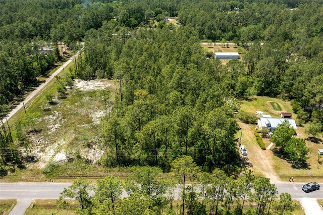 10165 Crotty Ave, Hastings, FL 32145