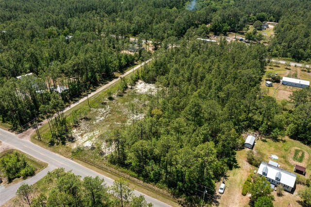 10165 Crotty Ave, Hastings, FL 32145