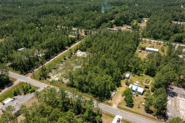10165 Crotty Ave, Hastings, FL 32145
