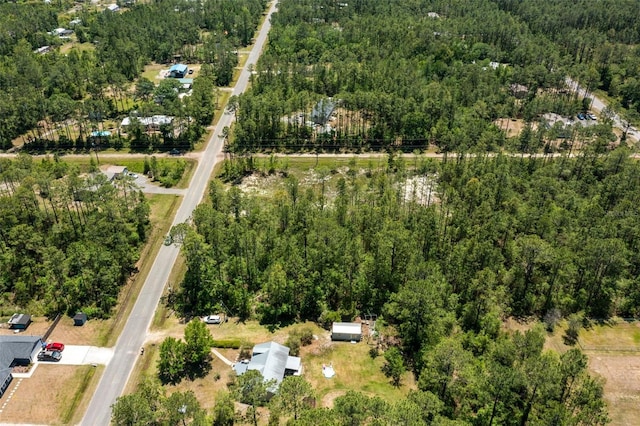 10165 Crotty Ave, Hastings, FL 32145
