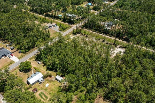 10165 Crotty Ave, Hastings, FL 32145