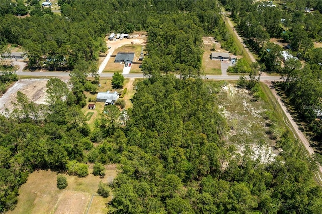 10165 Crotty Ave, Hastings, FL 32145