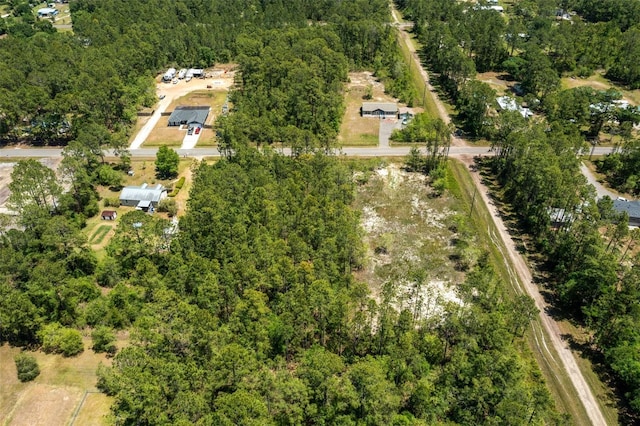 10165 Crotty Ave, Hastings, FL 32145