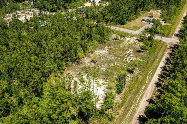 10165 Crotty Ave, Hastings, FL 32145