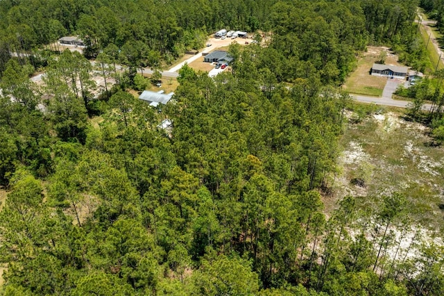 10165 Crotty Ave, Hastings, FL 32145