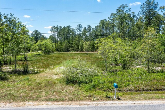 10165 Crotty Ave, Hastings, FL 32145