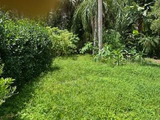 39 Bird Of Paradise Dr, Palm Coast, FL 32137 - view of yard