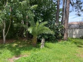 39 Bird Of Paradise Dr, Palm Coast, FL 32137 - view of yard