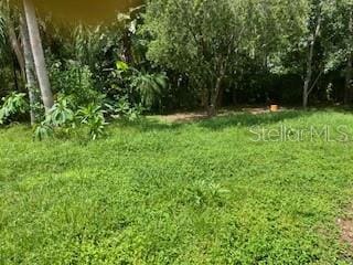 39 Bird Of Paradise Dr, Palm Coast, FL 32137 - view of yard