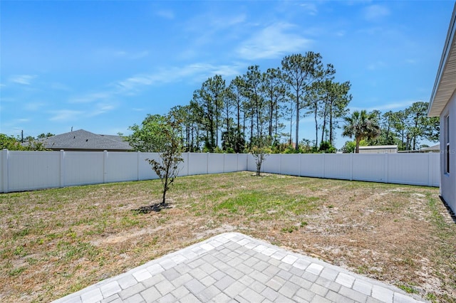 view of yard with a patio area and a fenced backyard