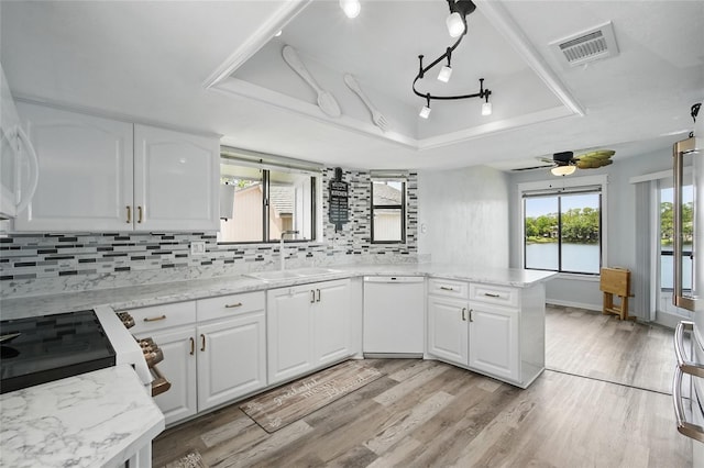 kitchen with visible vents, decorative backsplash, a raised ceiling, a sink, and dishwasher