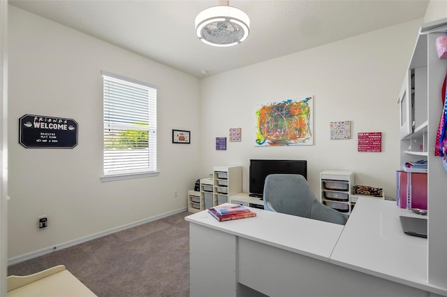 office space with baseboards and carpet floors