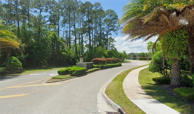 237 N Hidden Tree Dr, Saint Augustine, FL 32086 - view of asphalt street featuring sidewalks and curbs