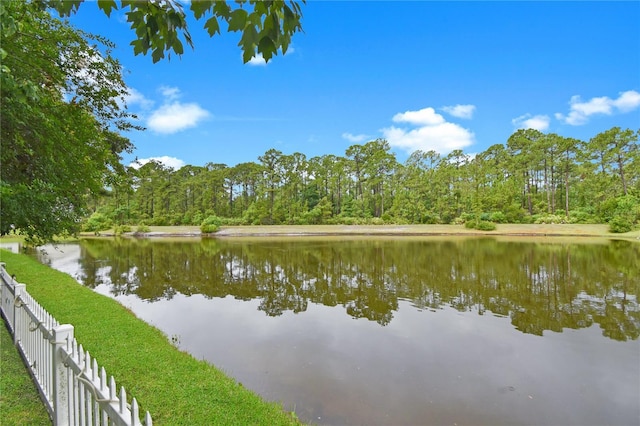 237 N Hidden Tree Dr, Saint Augustine, FL 32086 - water view with a forest