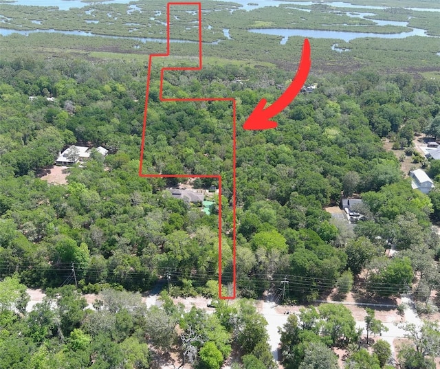 5751 John Anderson Hwy, Flagler Beach, FL 32136 - photo 2