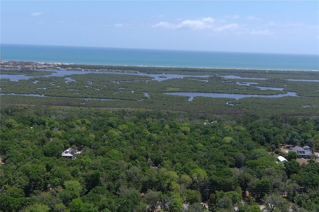 5751 John Anderson Hwy, Flagler Beach, FL 32136 - photo 5