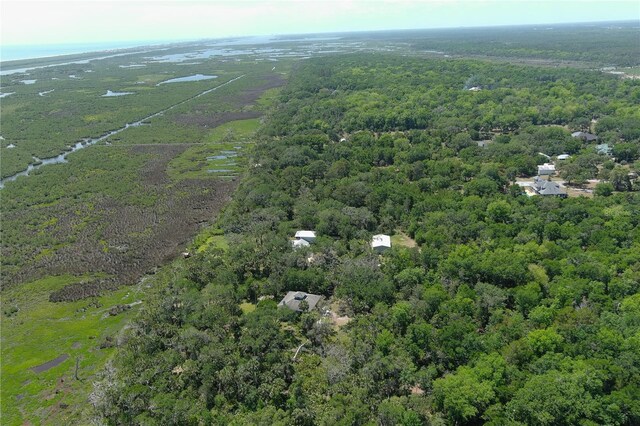 5751 John Anderson Hwy, Flagler Beach, FL 32136 - photo 8