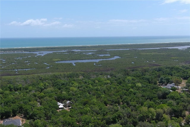 5751 John Anderson Hwy, Flagler Beach, FL 32136 - photo 10