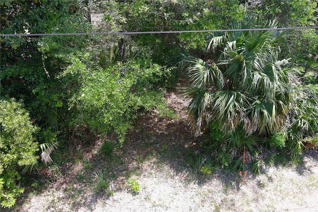 5751 John Anderson Hwy, Flagler Beach, FL 32136 - photo 11
