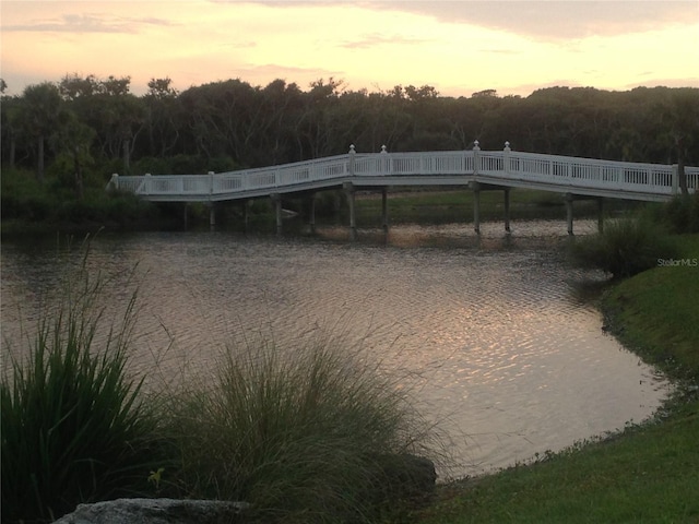 water view featuring a heavily wooded area