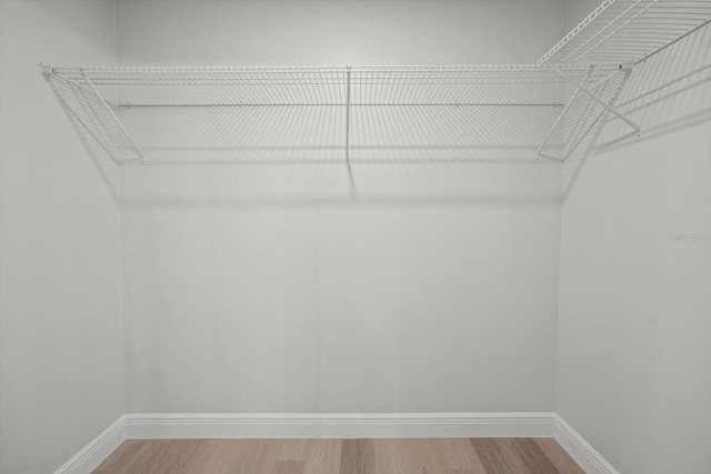 walk in closet featuring light wood-style flooring