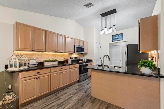 49 Louisiana Dr, Palm Coast, FL 32137 - kitchen featuring stainless steel appliances, a sink, lofted ceiling, a peninsula, and dark wood-type flooring