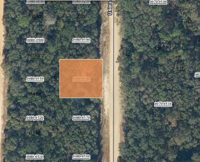 1107 Usina Ave, Interlachen, FL 32148