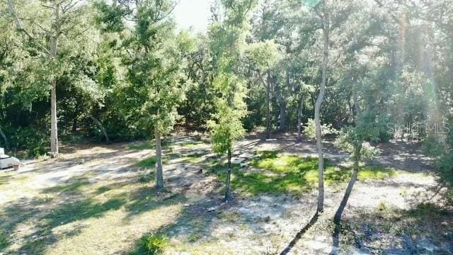 1107 Usina Ave, Interlachen, FL 32148