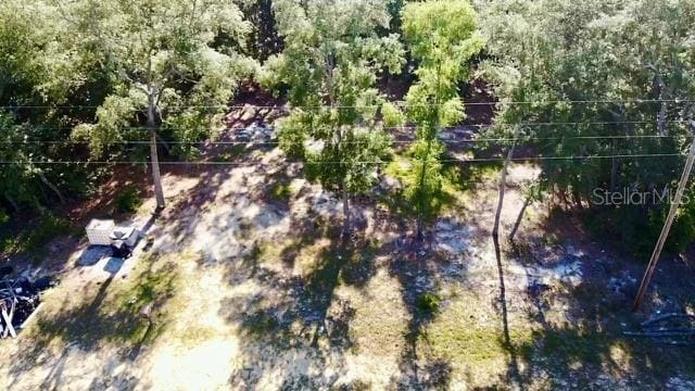 1107 Usina Ave, Interlachen, FL 32148